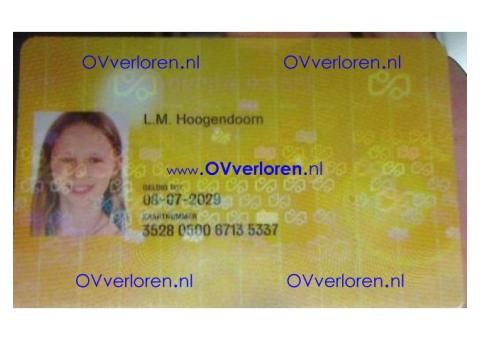 L.M.Hoogendoorn