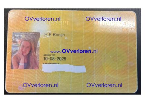 H.E Konijn