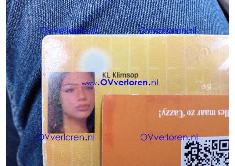 OV Chipkaart in de trein naar Zwolle van K L Klimsop