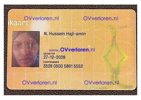 N. Hussein Haji-amin