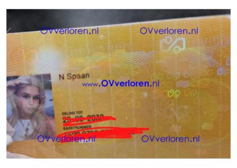 Trein Arnhem-Velp. N. Spaan