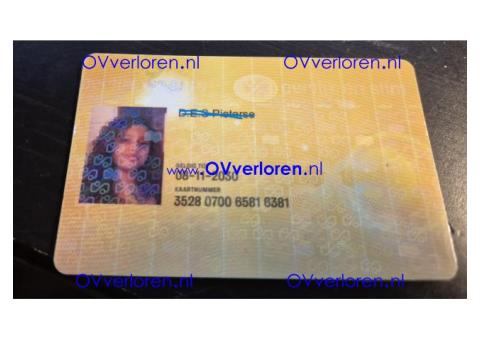 D.E.S Pieterse gevonden