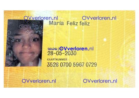 Gevonden Ov chipkaart