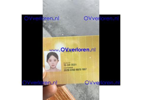 L.Jiang / station holendrecht