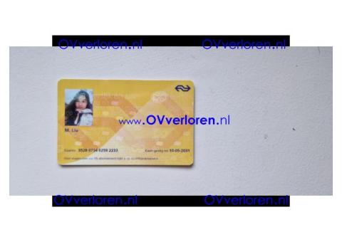 M. Liu,  20 juni, delft