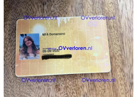 Ov van MFA Domensino